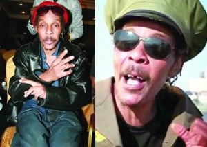 majek